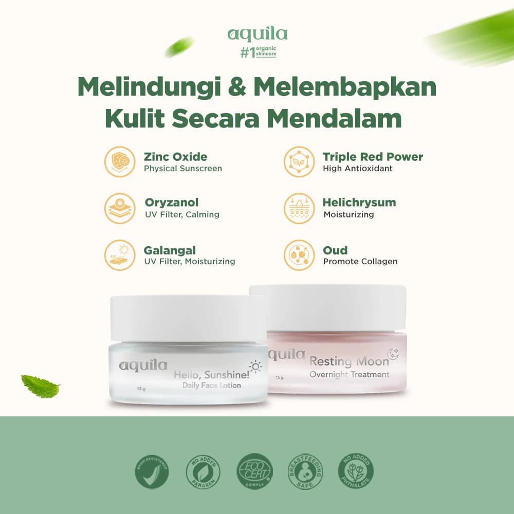 Day & Night Cream Moisturizer - Cream Moisturizer untuk Melembapkan Kulit Wajah